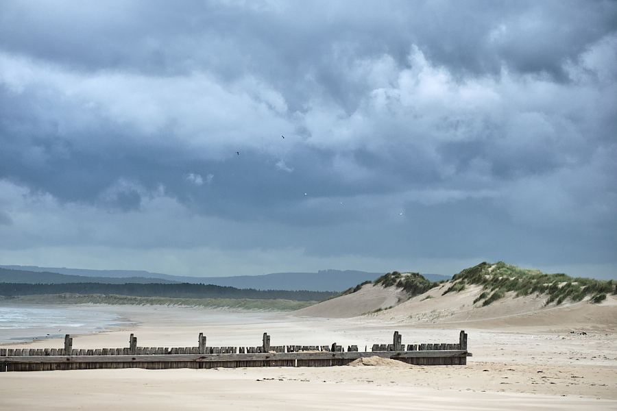 Wind Blown Dunes