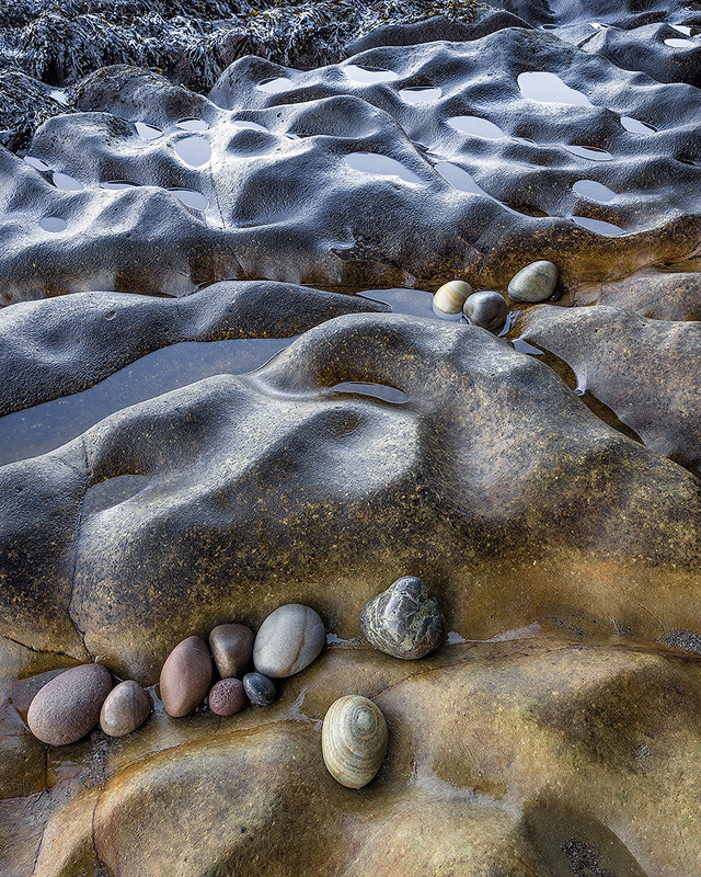 Twelve Pebbles.