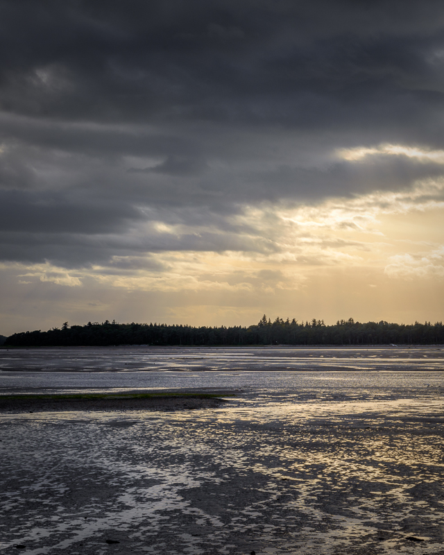 Finding A Path - Culbin Forest - An Exploration.