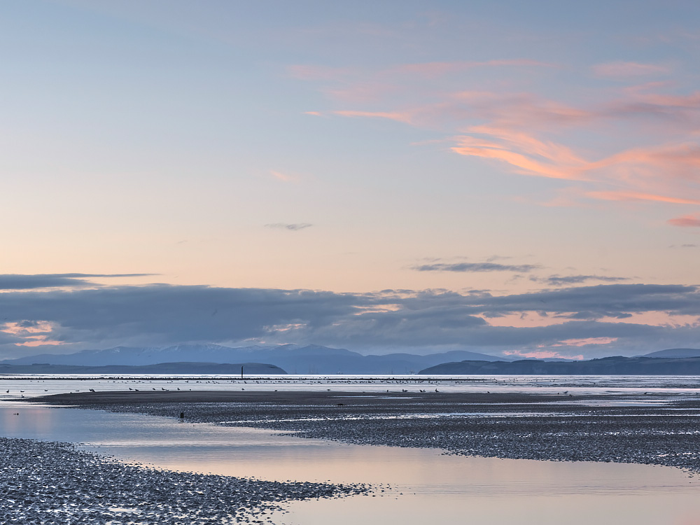 Pink Ribbons - Findhorn