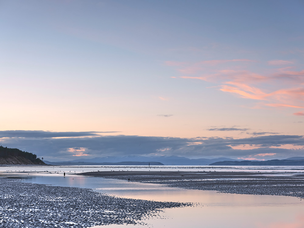 Pink Ribbons No.2 - Findhorn