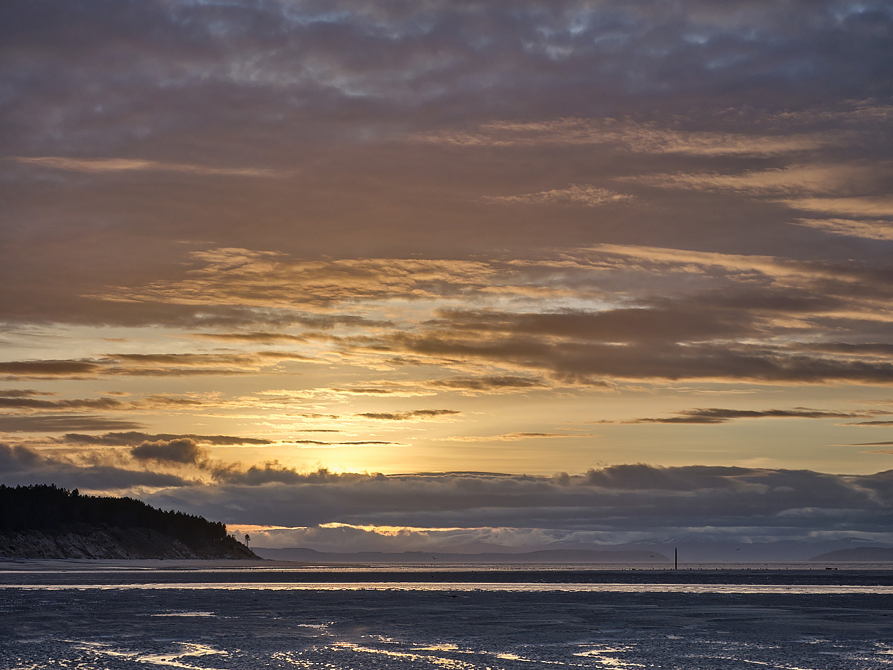 Findhorn Yellows