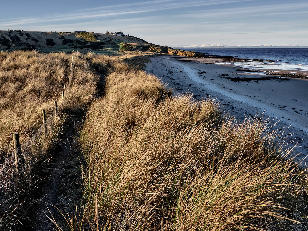 Early Morning - Covesea