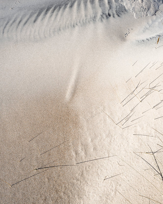 Wind Blown Sand