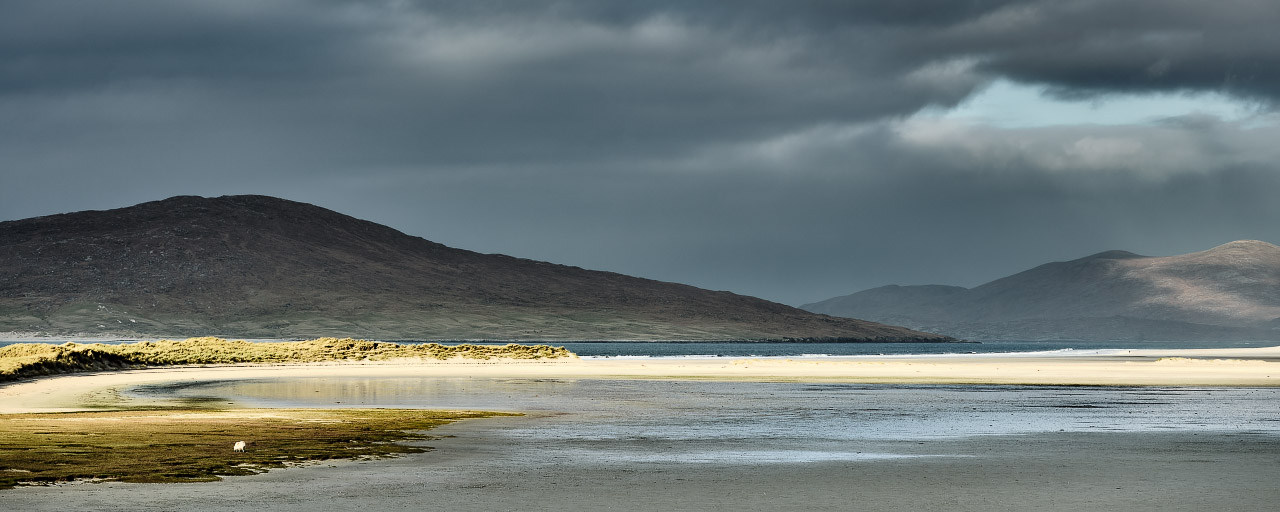 Lone Sheep & Two Walkers - Harris