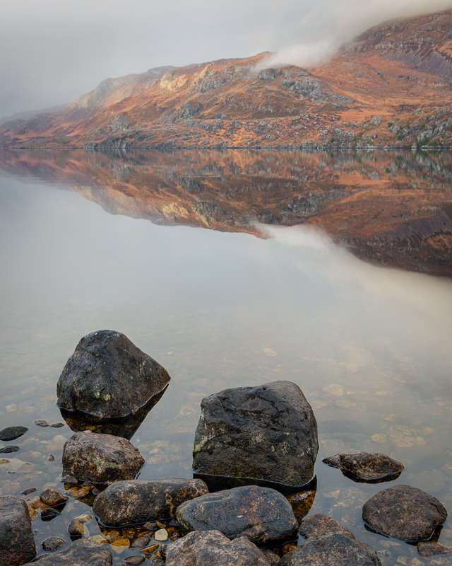 Misty Maree