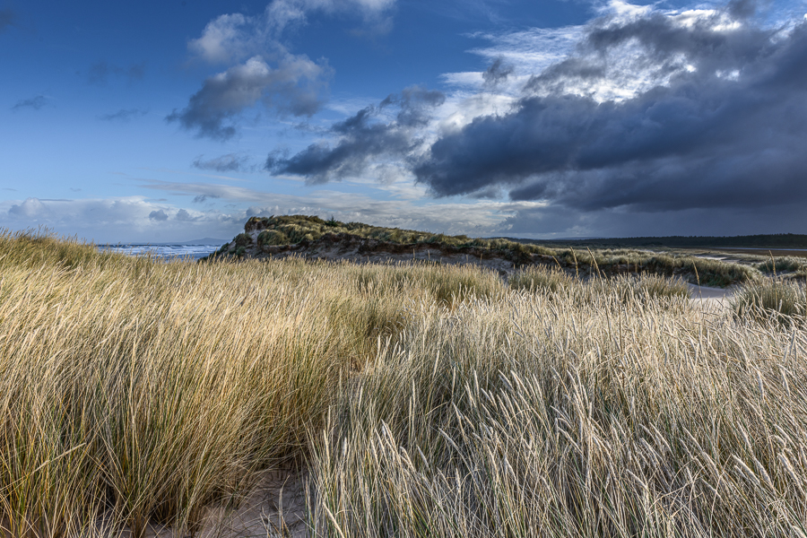 Light On Dunes