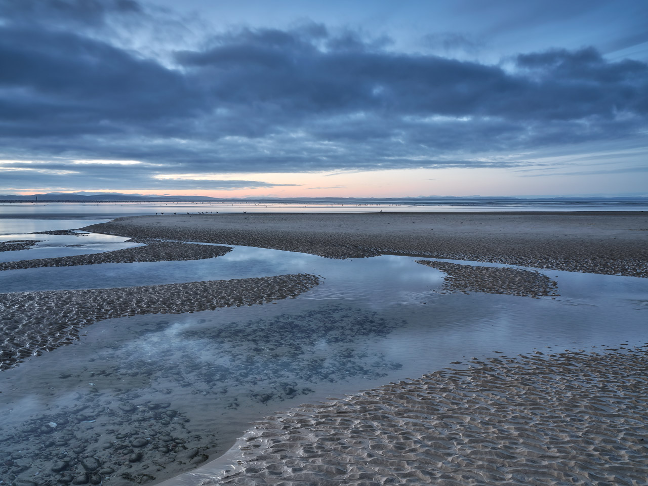 Feeding Birds - Findhorn.