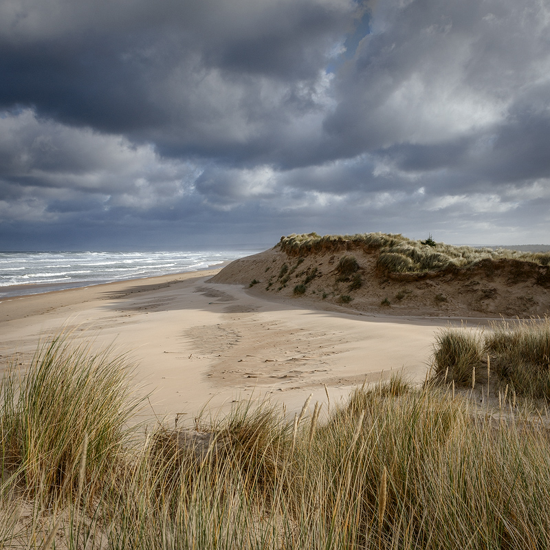 Summer Dunes