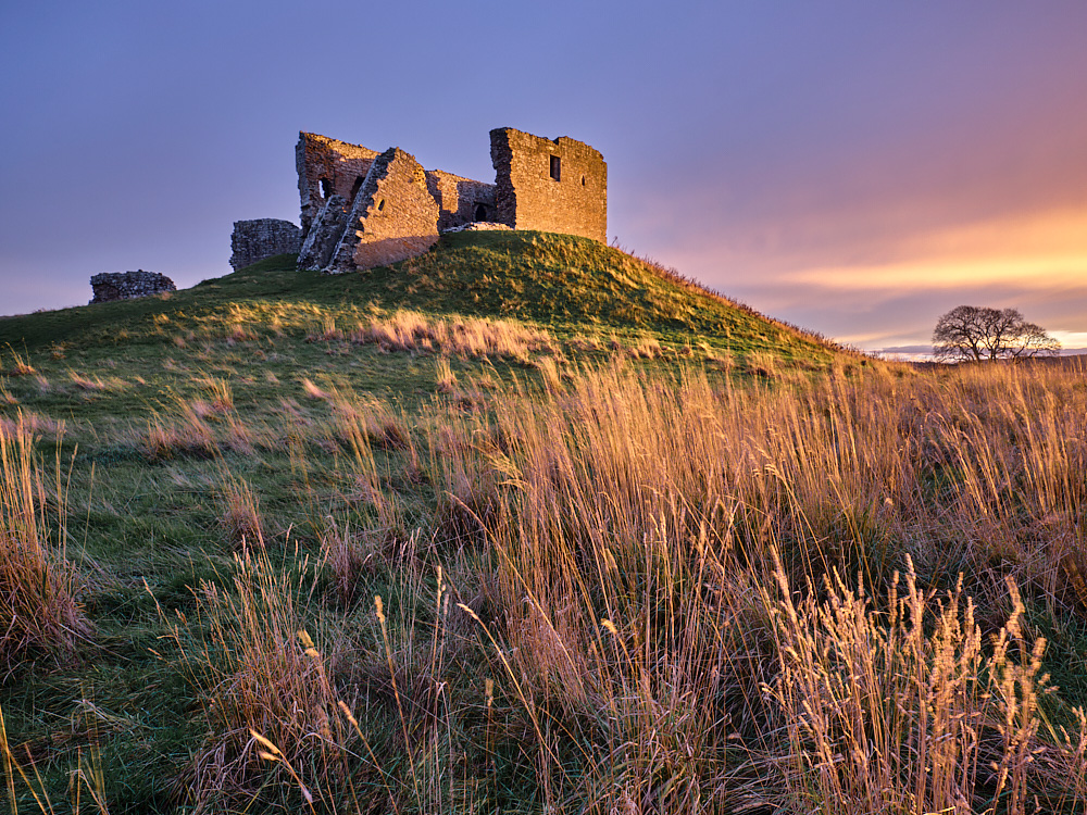 Winter Grasses - Duffus Castle