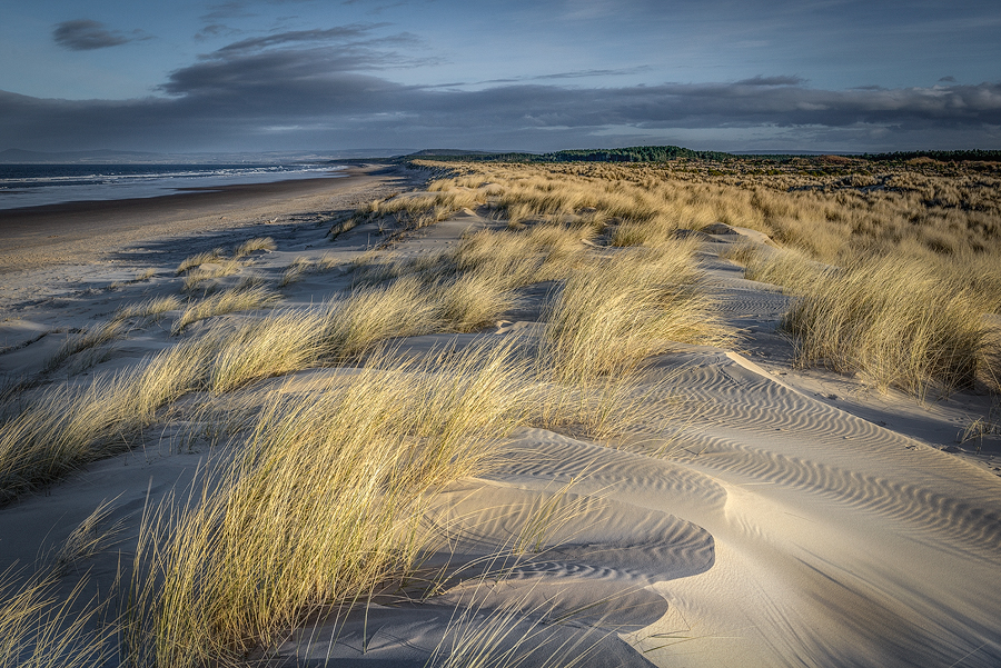 Marram And Dunes (wide)