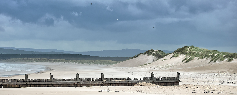 Wind Blown Dunes (Long)