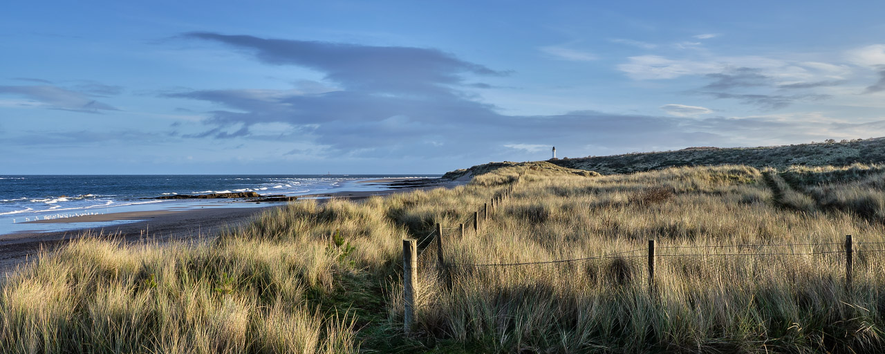 Fenceline, Covesea.