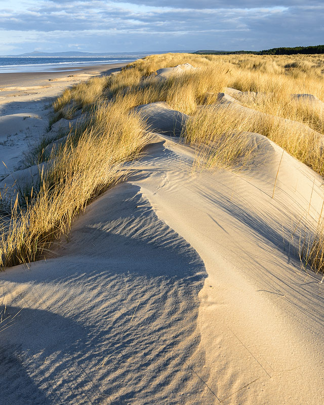 Blown Dunes