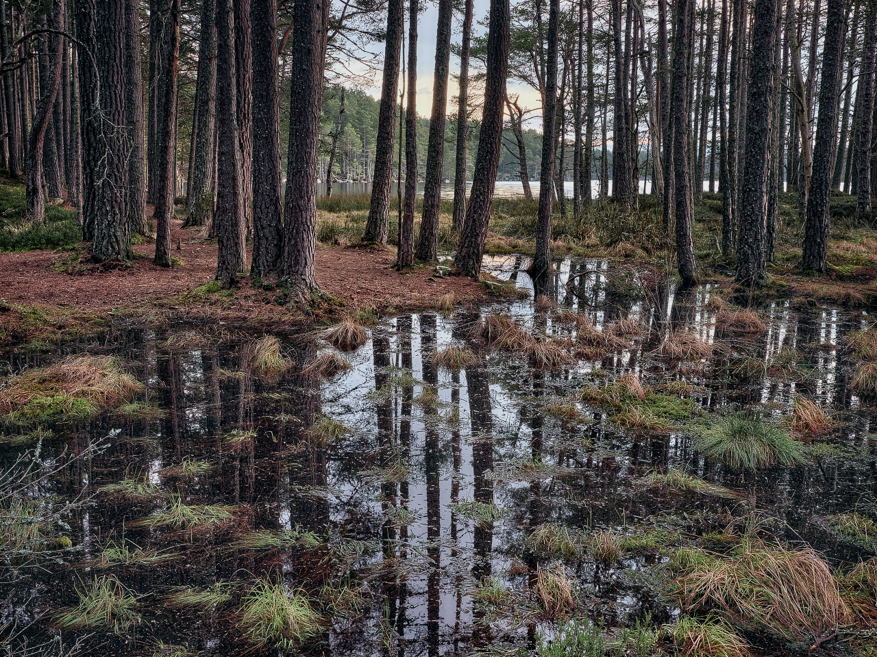 Lochan Reflection