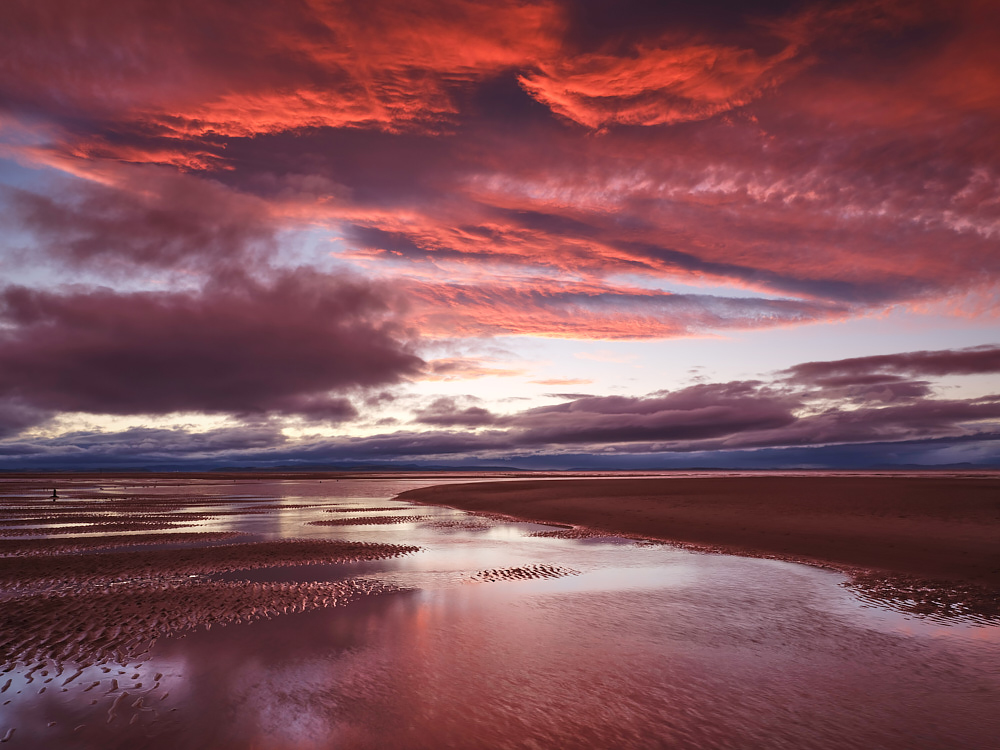 Findhorn Reds