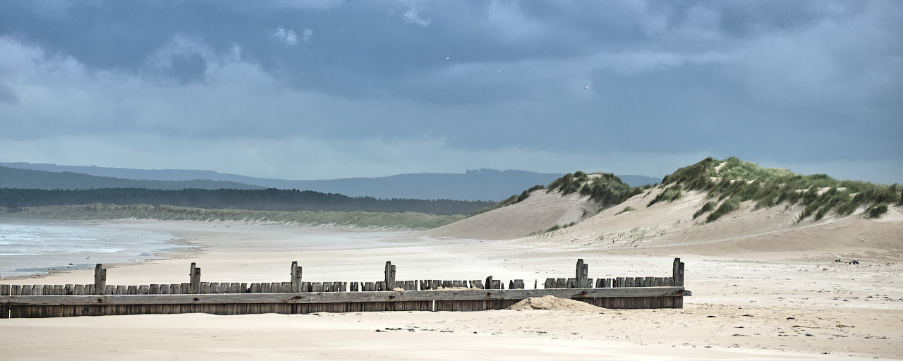 Wind Blown Dunes - (Long Version)