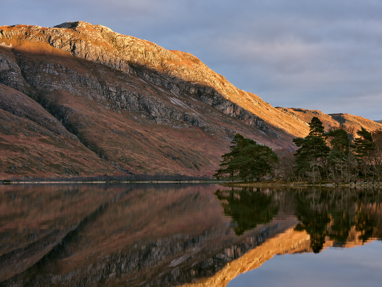 Calm Reflection