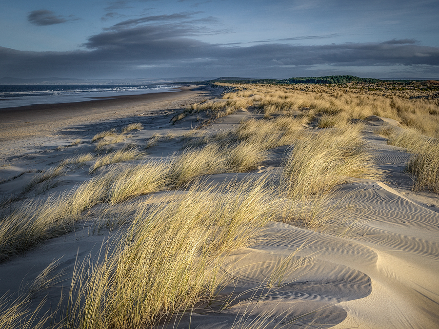 Marram And Dunes