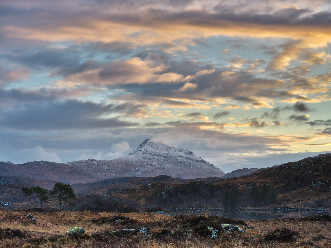 Soft Light On Canisp