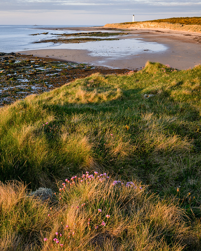 East From Covesea