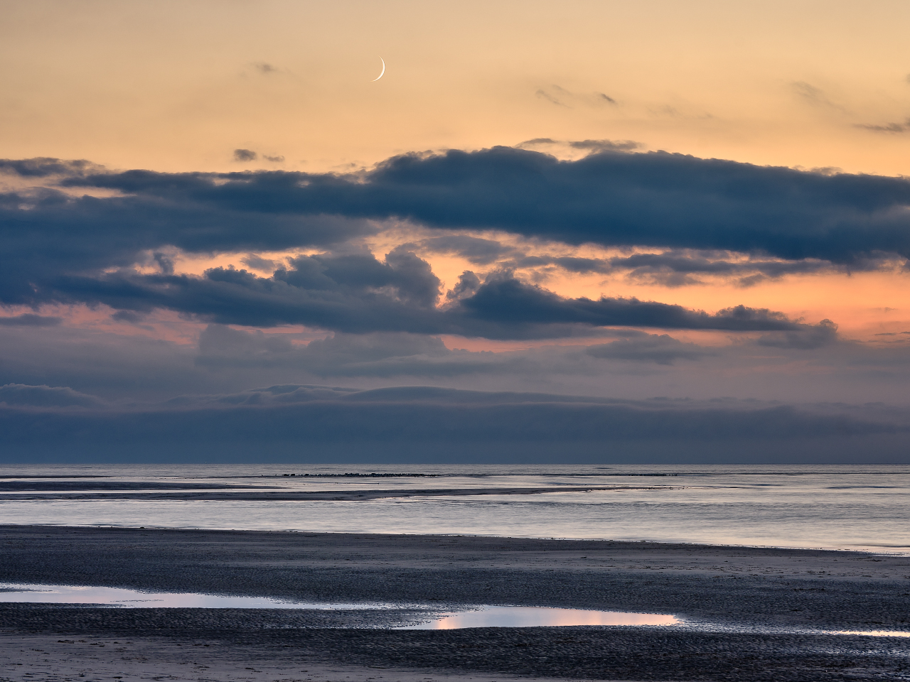 Seals, Birds And The Moon.