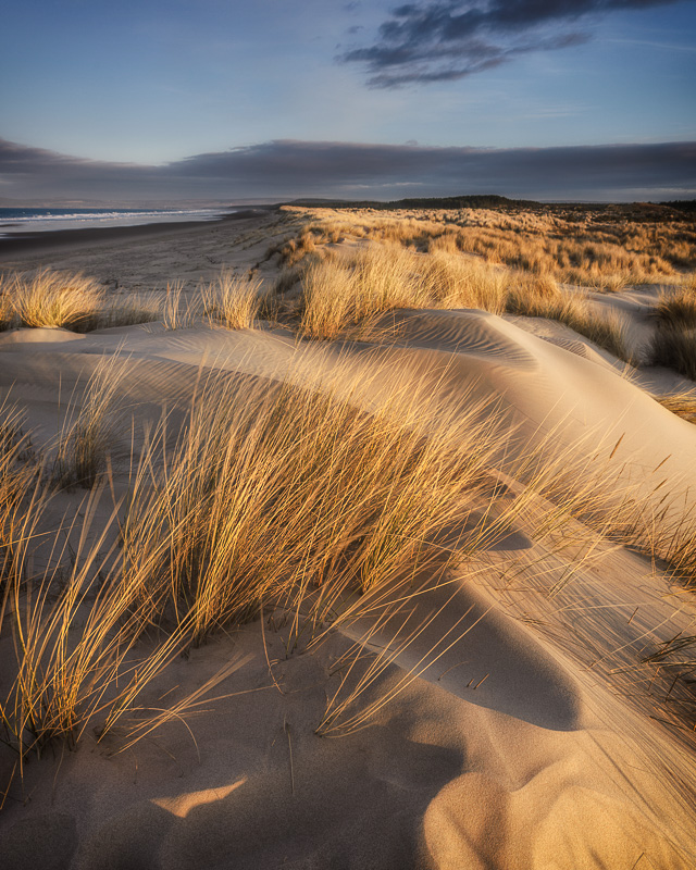 Dune Shapes