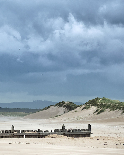 Wind Blown Dunes