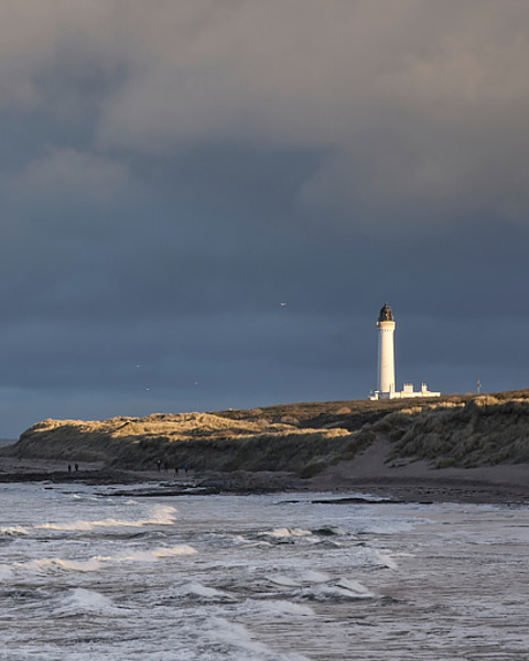 Winter Walkers - Covesea