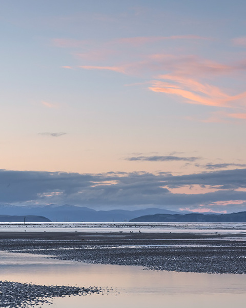 Pink Ribbons - Findhorn