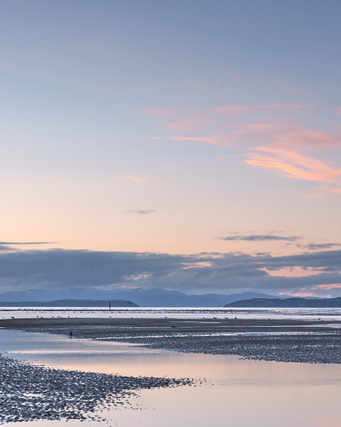 Pink Ribbons No.2 - Findhorn