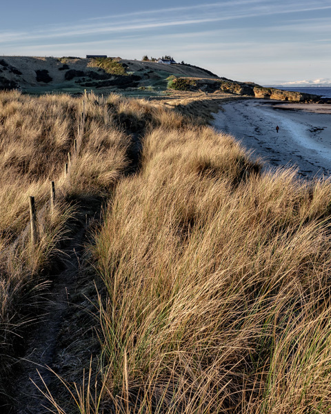 Early Morning - Covesea