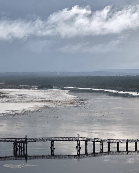 Winter Bridge