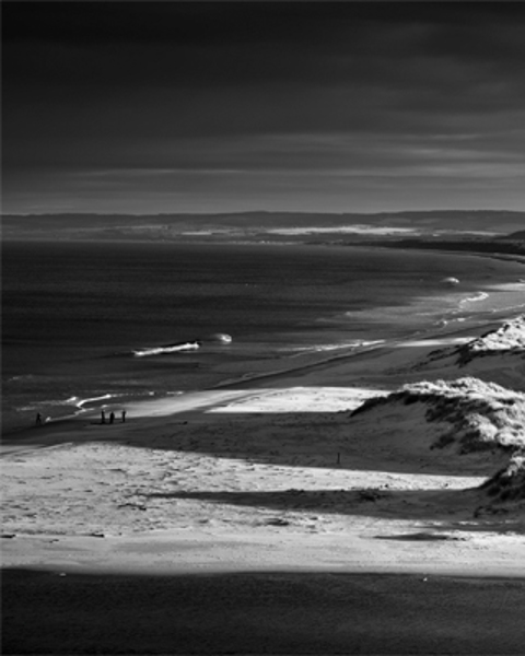 Surfers On The Beach