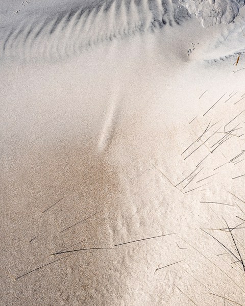 Wind Blown Sand