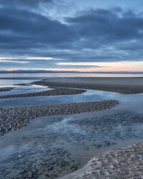 Feeding Birds - Findhorn.