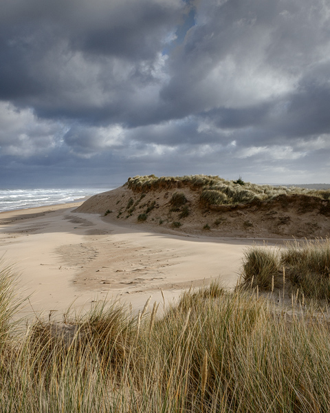 Summer Dunes