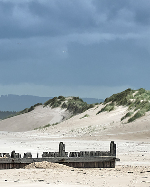 Wind Blown Dunes (Long)