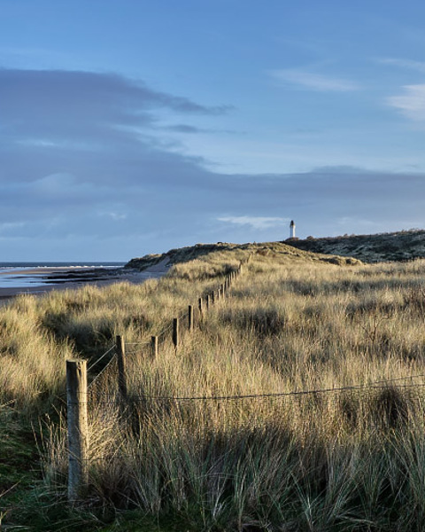 Fenceline, Covesea.