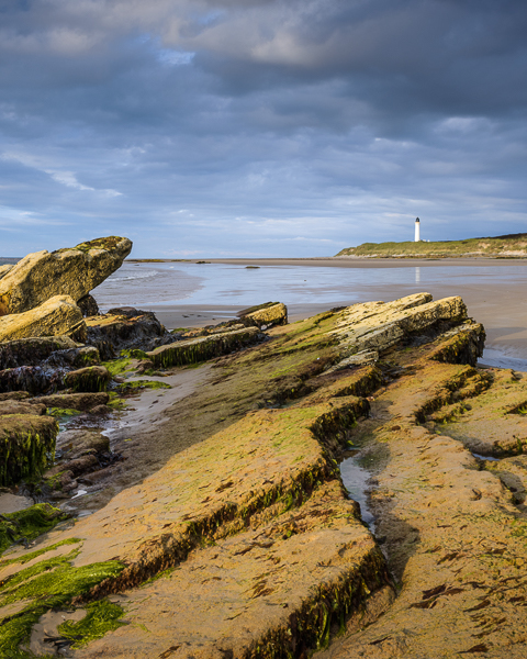 Low Tide, Covesea