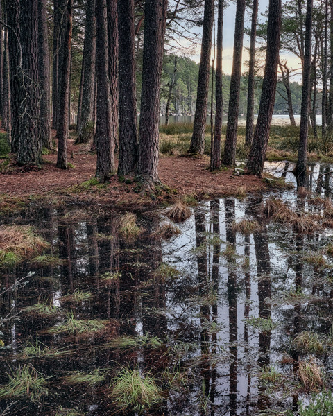 Lochan Reflection