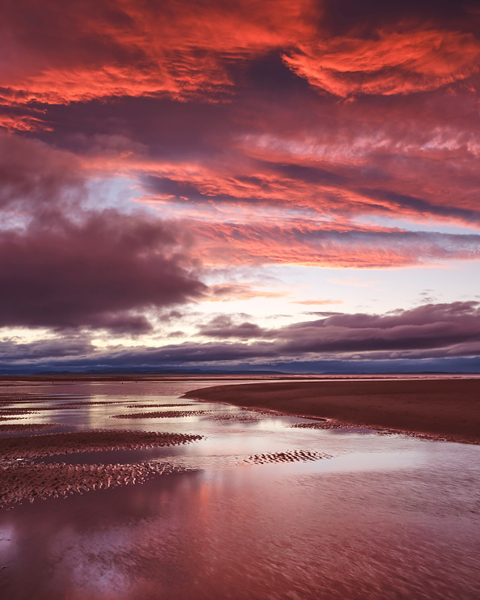 Findhorn Reds