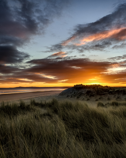 Sunrise On Dunes