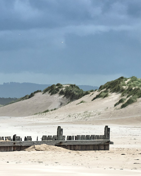 Wind Blown Dunes - (Long Version)