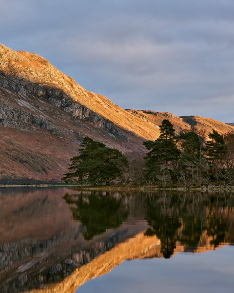 Calm Reflection