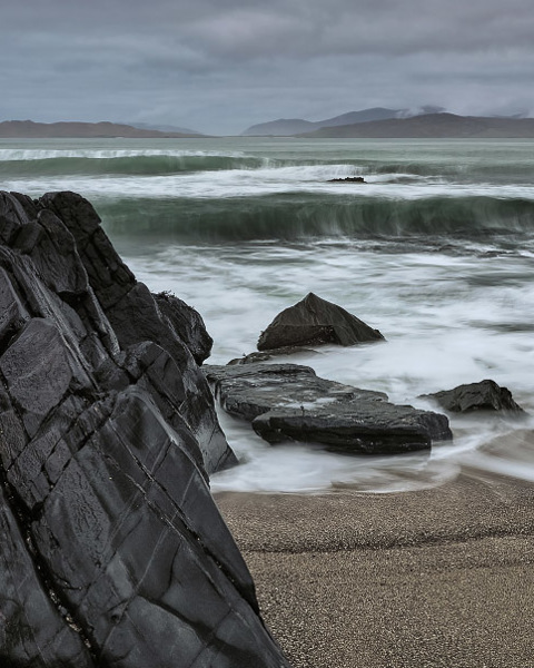 Rocks And Tangle