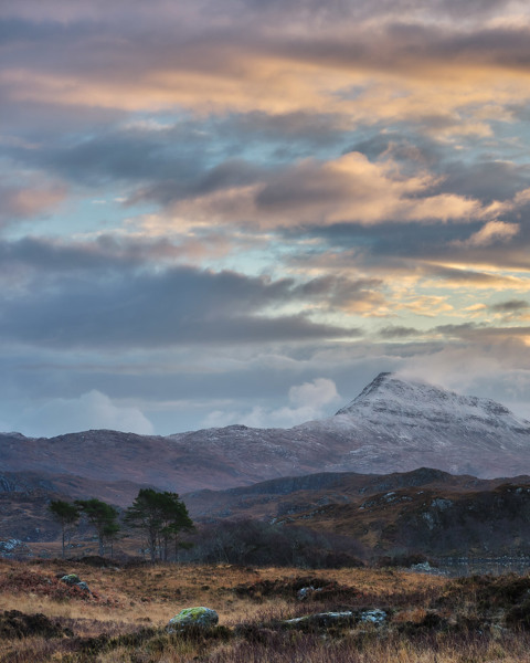 Soft Light On Canisp