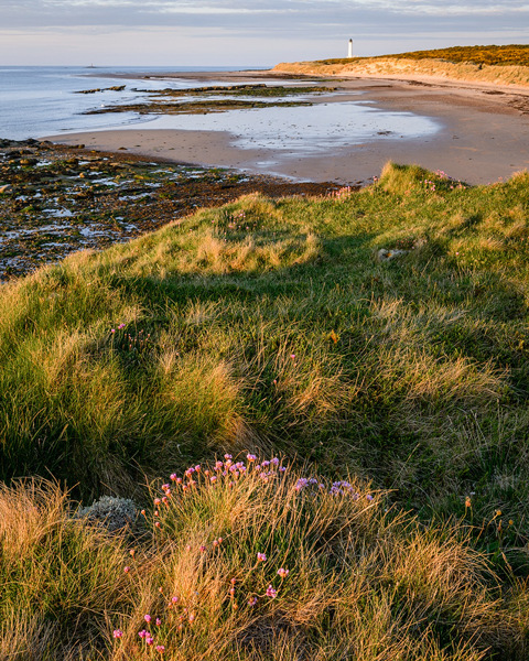 East From Covesea