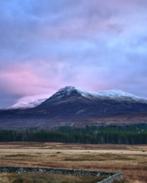 Dusky Pink