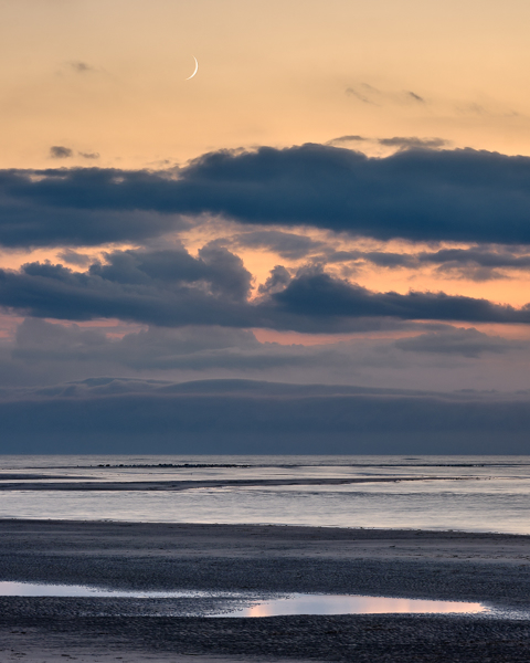 Seals, Birds And The Moon.